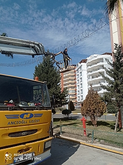 TAŞIMA