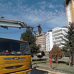 TAŞIMA